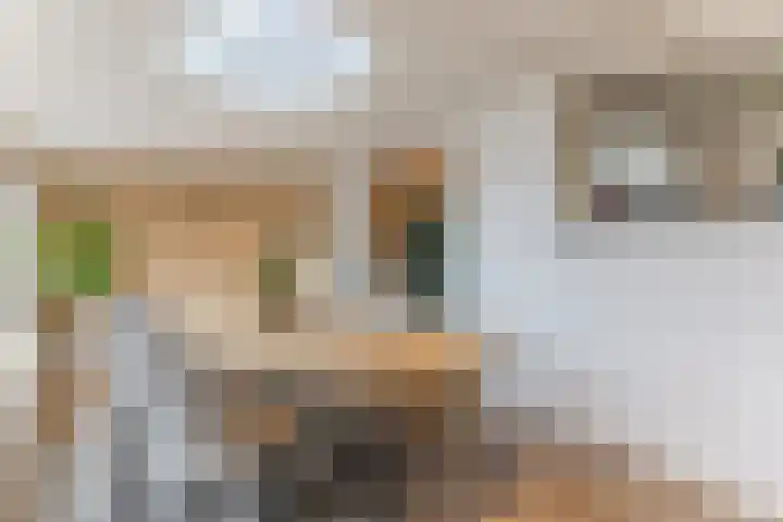Wolstraat 5 Geldrop thumbnail 4
