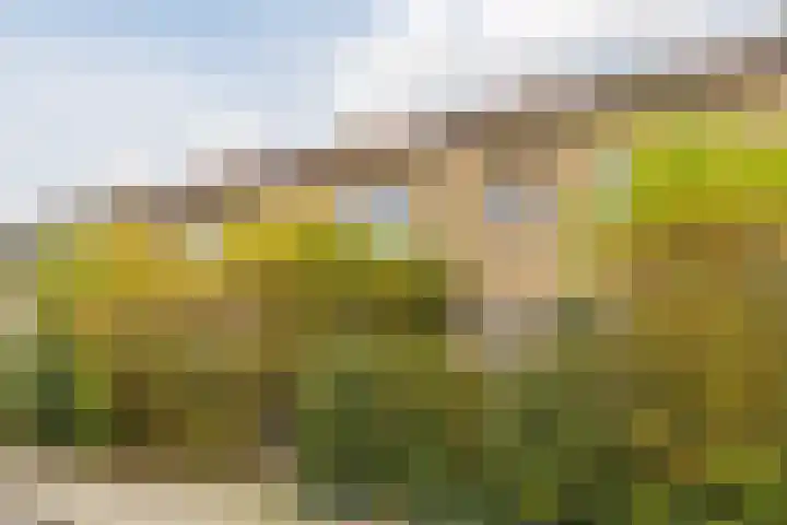 Wolstraat 5 Geldrop thumbnail 5