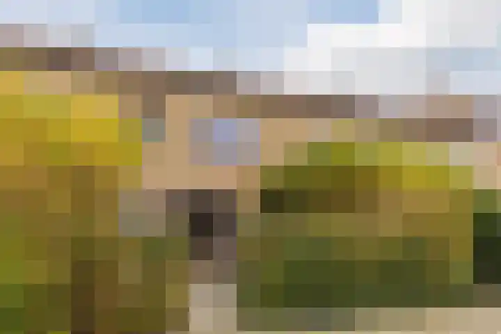 Wolstraat 5 Geldrop thumbnail 7