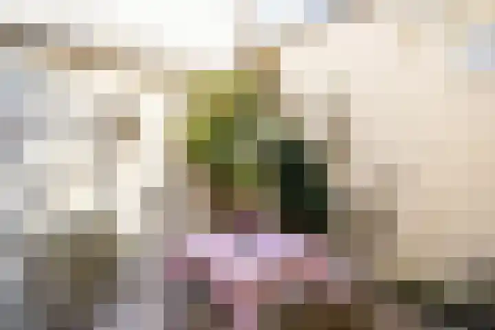 Wolter Heukelslaan 36 Utrecht thumbnail 14
