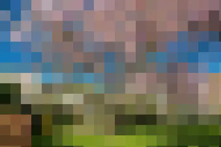 Wolter Heukelslaan 36 Utrecht thumbnail 36