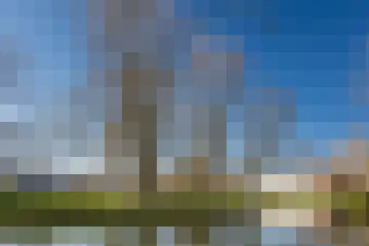 Wolter Heukelslaan 36 Utrecht thumbnail 38