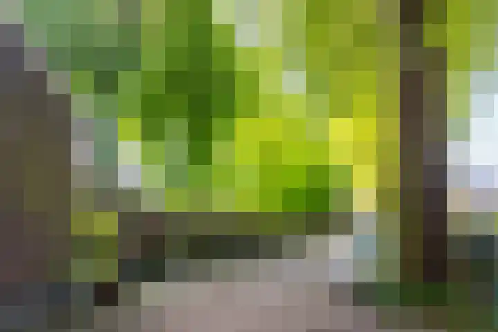 Wolter Heukelslaan 36 Utrecht thumbnail 41