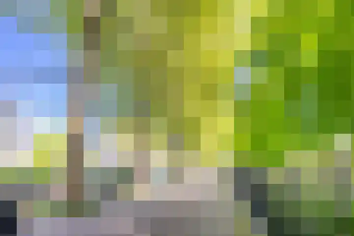 Wolter Heukelslaan 36 Utrecht thumbnail 42