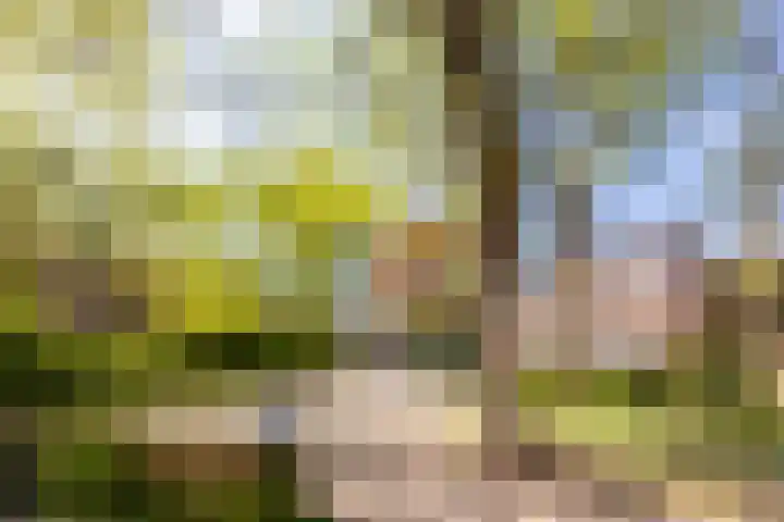 Wolter Heukelslaan 36 Utrecht thumbnail 43