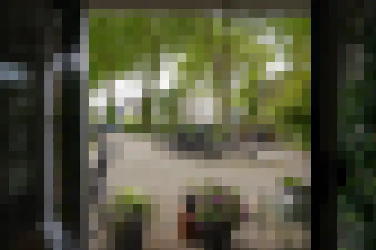 Wolter Heukelslaan 38 Utrecht thumbnail 34