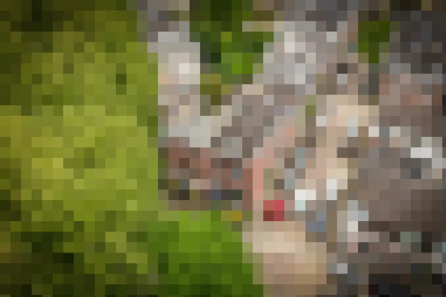 Wolter Heukelslaan 38 Utrecht thumbnail 37