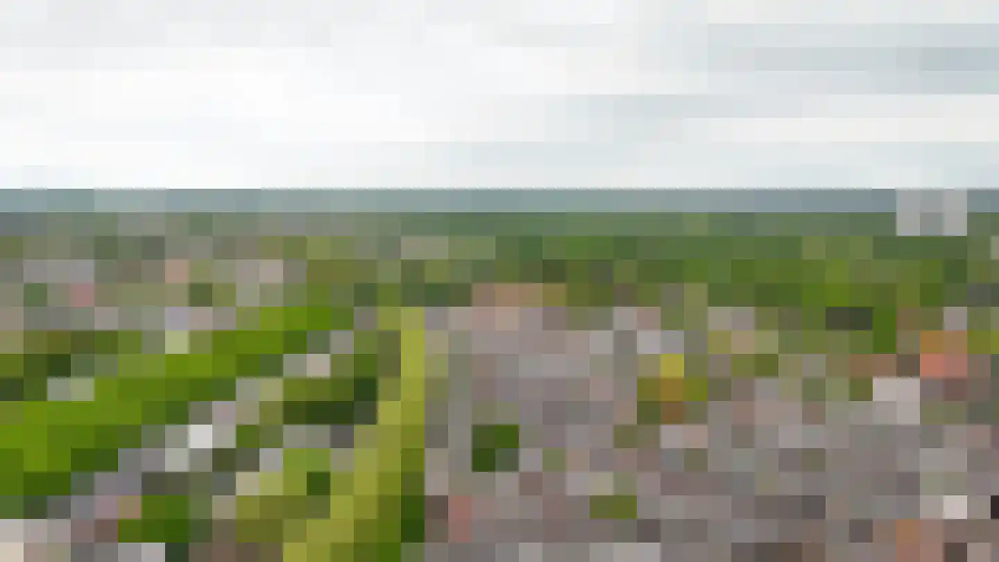 Wolter Heukelslaan 38 Utrecht thumbnail 39