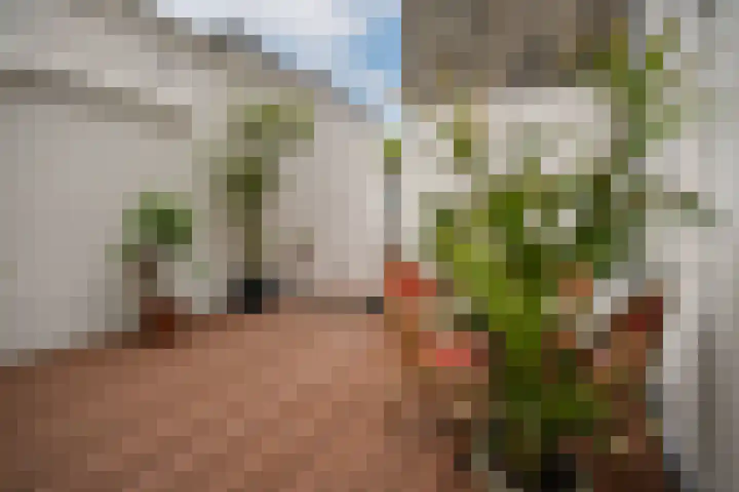 Wolter Heukelslaan 38 Utrecht thumbnail 4
