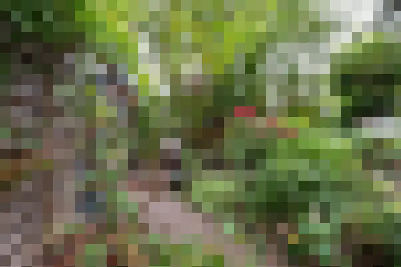 Wolter Heukelslaan 46 Utrecht thumbnail 17