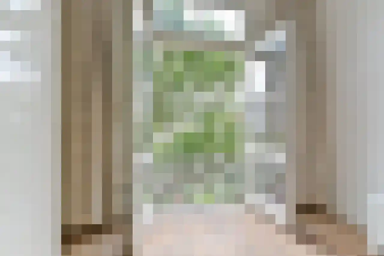 Wolter Heukelslaan 46 Utrecht thumbnail 27