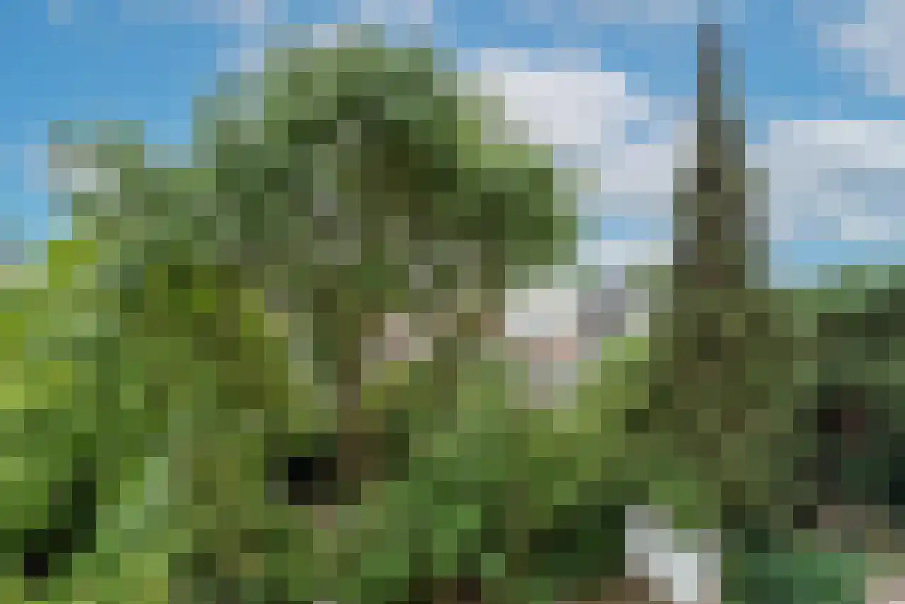 Wolter Heukelslaan 46 Utrecht thumbnail 44
