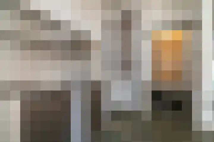 Wolter Heukelslaan 47 Utrecht thumbnail 13