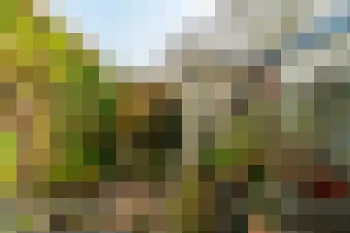 Wolter Heukelslaan 47 Utrecht thumbnail 24