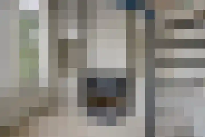 Wolter Heukelslaan 47 Utrecht thumbnail 27