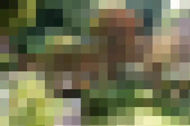 Wolter Heukelslaan 5 Utrecht thumbnail 39