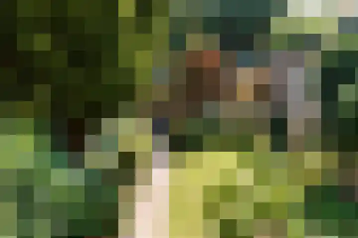 Wolter Heukelslaan 5 Utrecht thumbnail 42