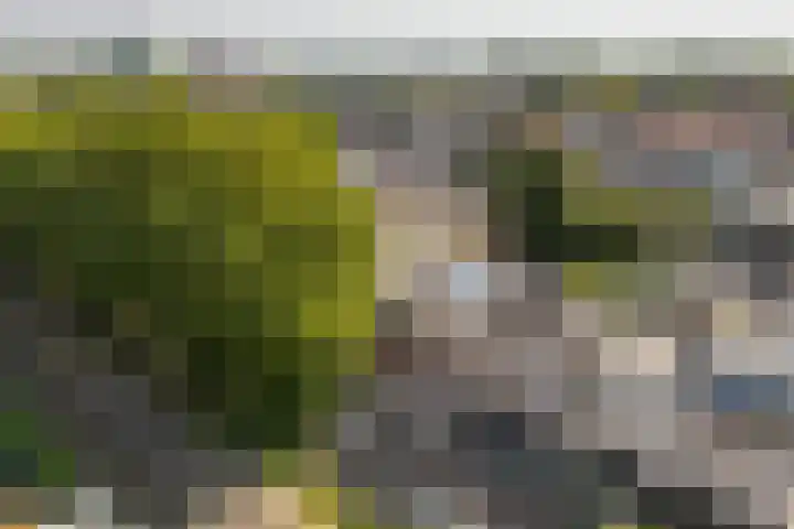 Wolter Heukelslaan 5 Utrecht thumbnail 46