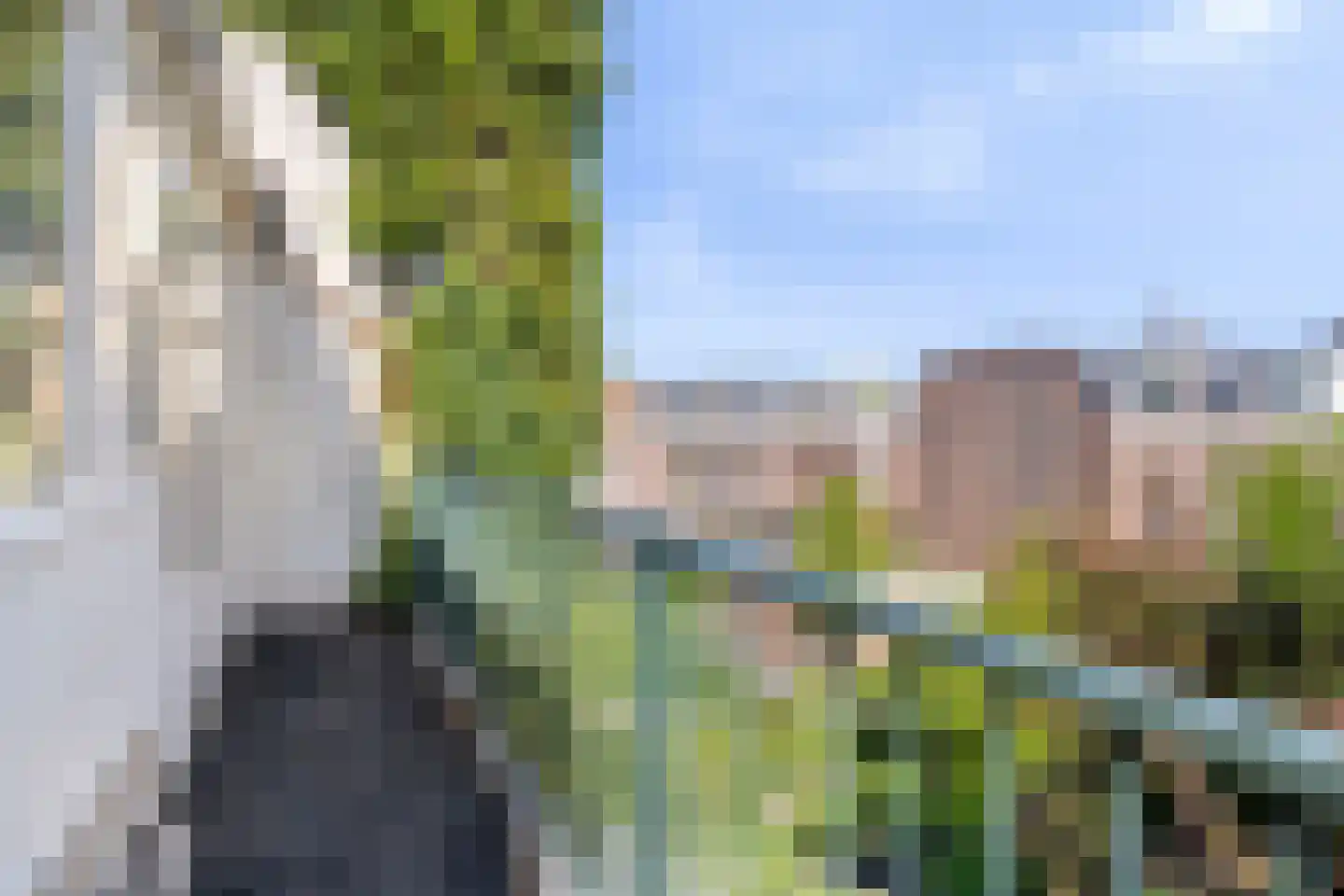Wolter Heukelslaan 53 Utrecht thumbnail 45