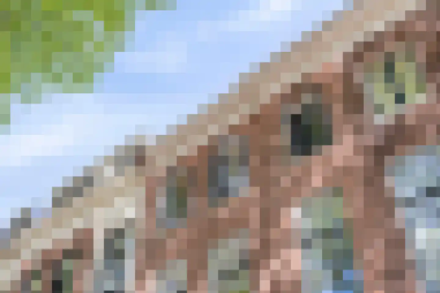 Wolter Heukelslaan 53 Utrecht thumbnail 47