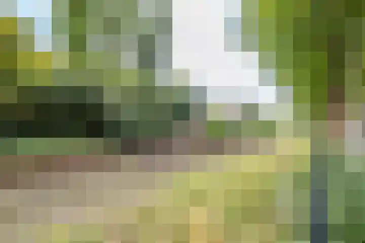 Wolter Heukelslaan 65 A Utrecht thumbnail 34