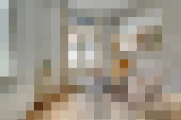 Wolter Heukelslaan 65 A Utrecht thumbnail 4