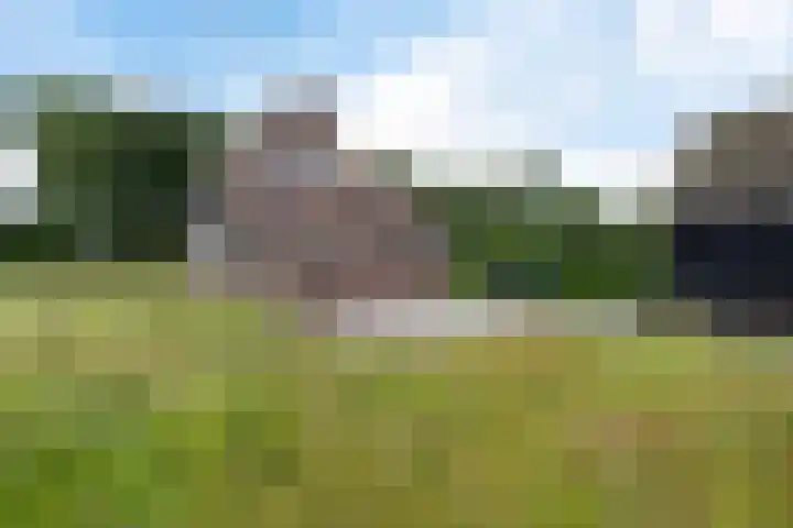 Wolter Jagerswijk 5 Jubbega thumbnail 18