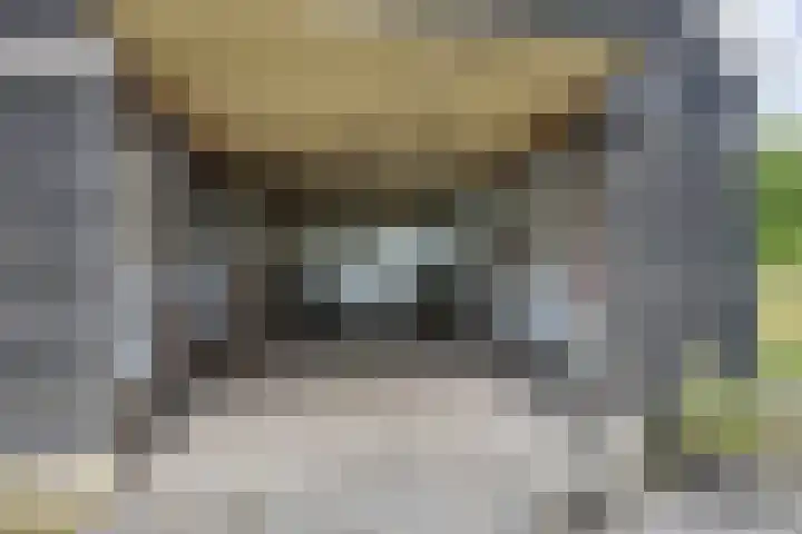 Wolter Jagerswijk 5 Jubbega thumbnail 19