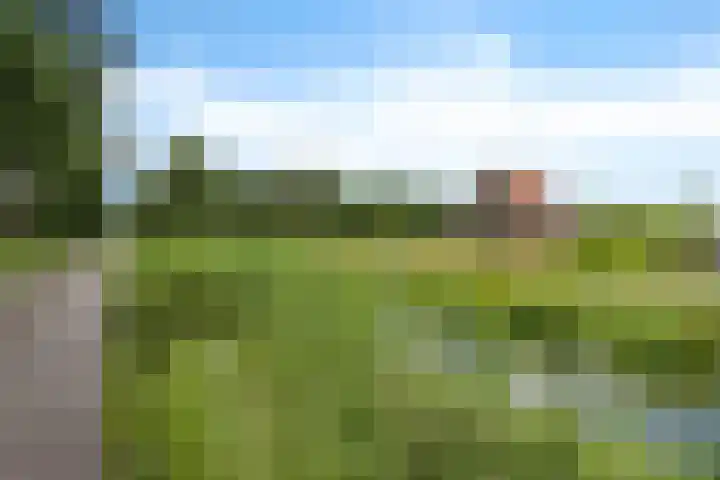 Wolter Jagerswijk 5 Jubbega thumbnail 20