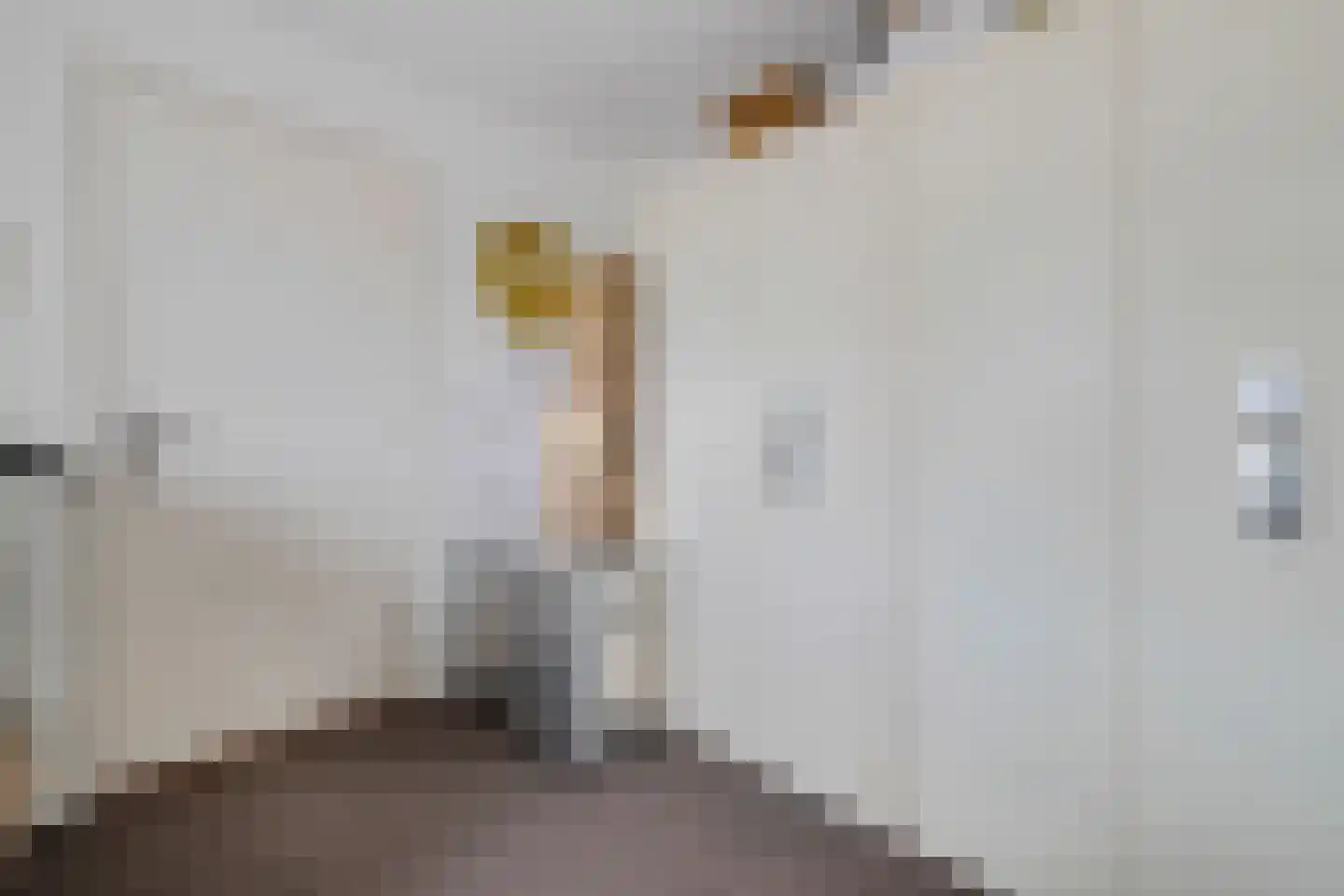 Wolter ten Catestraat 56 Hengelo thumbnail 33