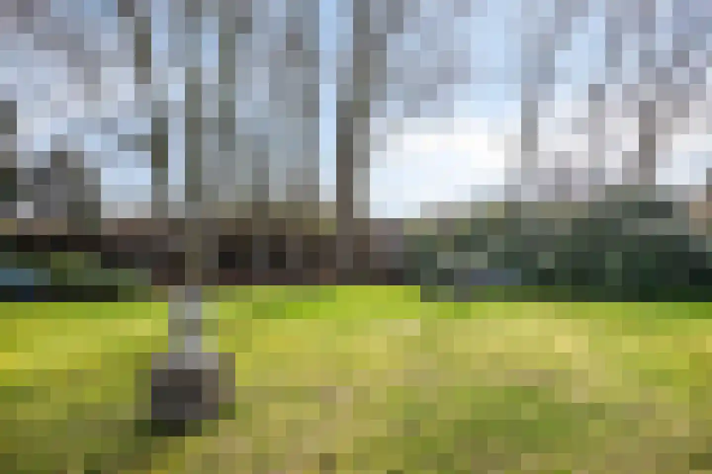 Wolter ten Catestraat 57 J Hengelo thumbnail 35