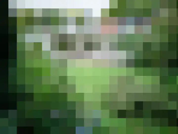 Wolter ten Catestraat 63 Hengelo thumbnail 39