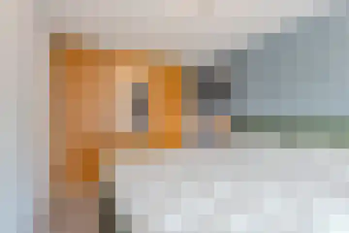 Wolter ter Haarstraat 10 Balkbrug thumbnail 20