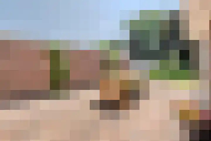 Wolter ter Haarstraat 10 Balkbrug thumbnail 32