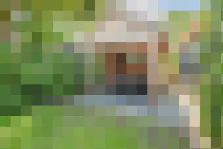 Wolter ter Haarstraat 10 Balkbrug thumbnail 36