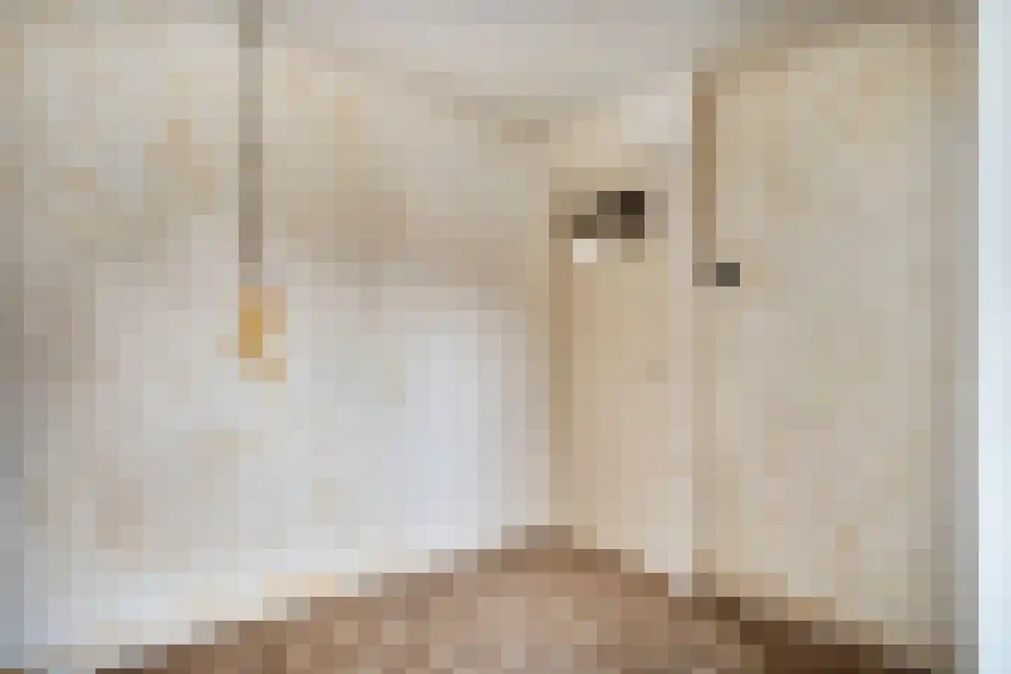Wolter ter Haarstraat 4 Balkbrug thumbnail 23