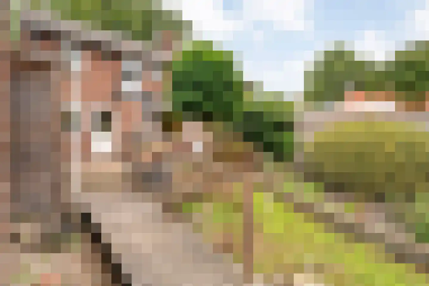 Wolter ter Haarstraat 4 Balkbrug thumbnail 28