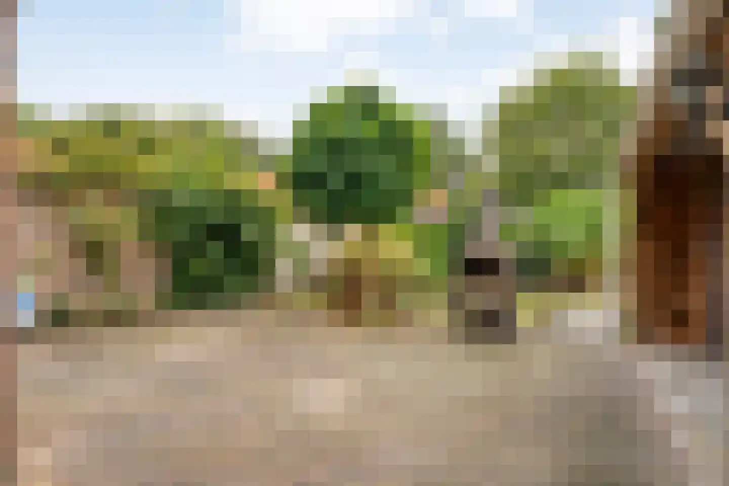 Wolter ter Haarstraat 4 Balkbrug thumbnail 30