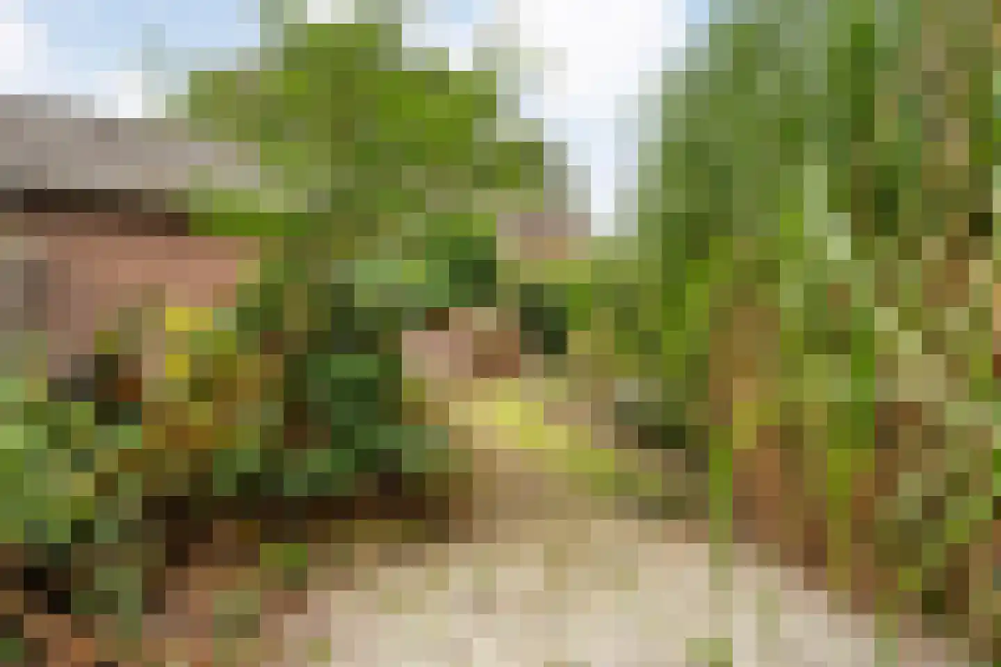Wolter ter Haarstraat 4 Balkbrug thumbnail 31