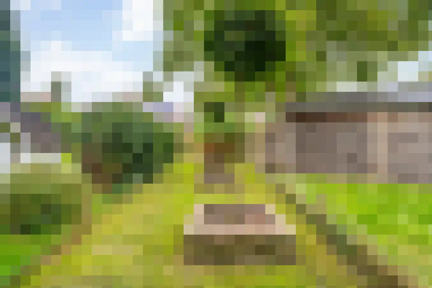 Wolter ter Haarstraat 4 Balkbrug thumbnail 34