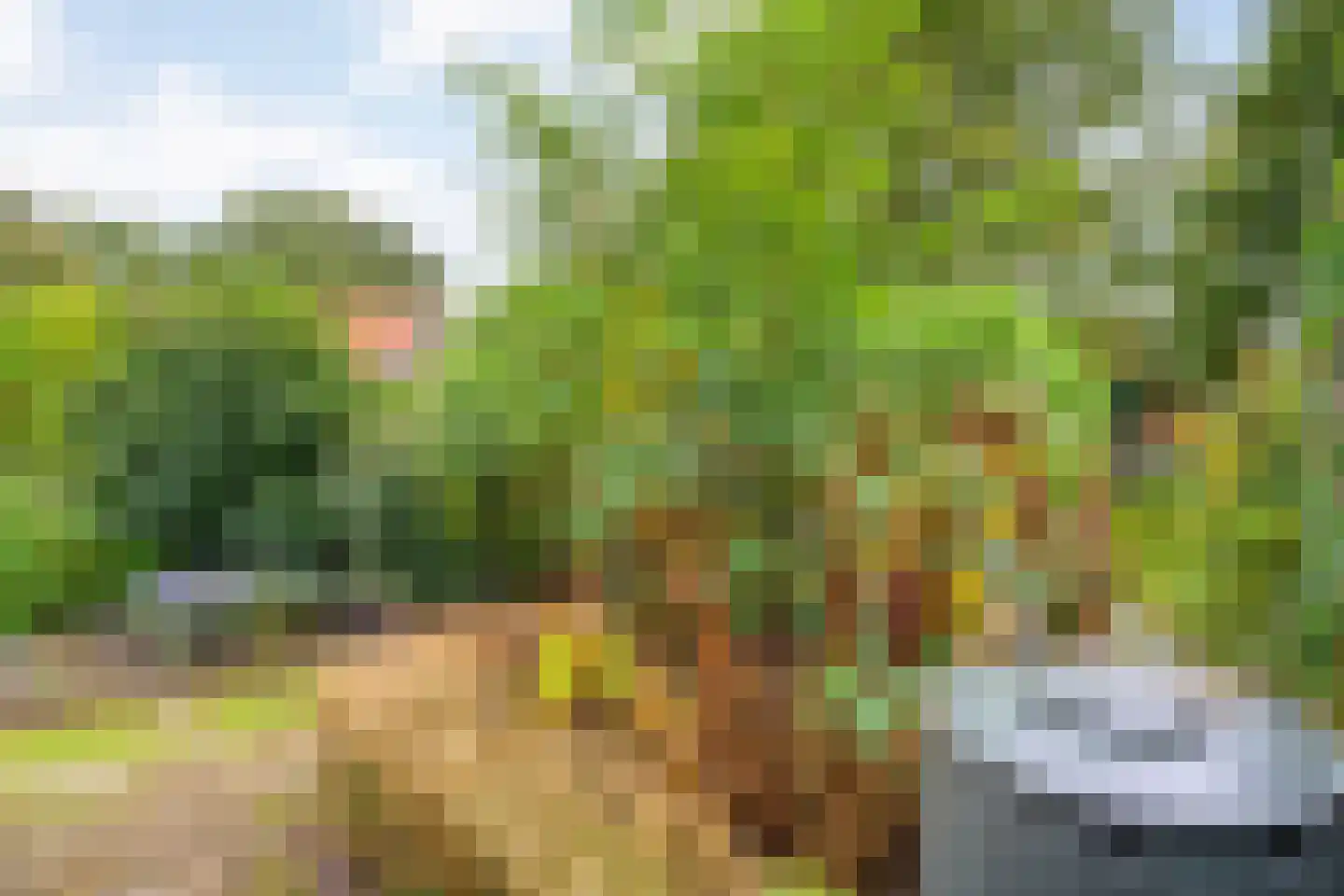 Wolter ter Haarstraat 4 Balkbrug thumbnail 35