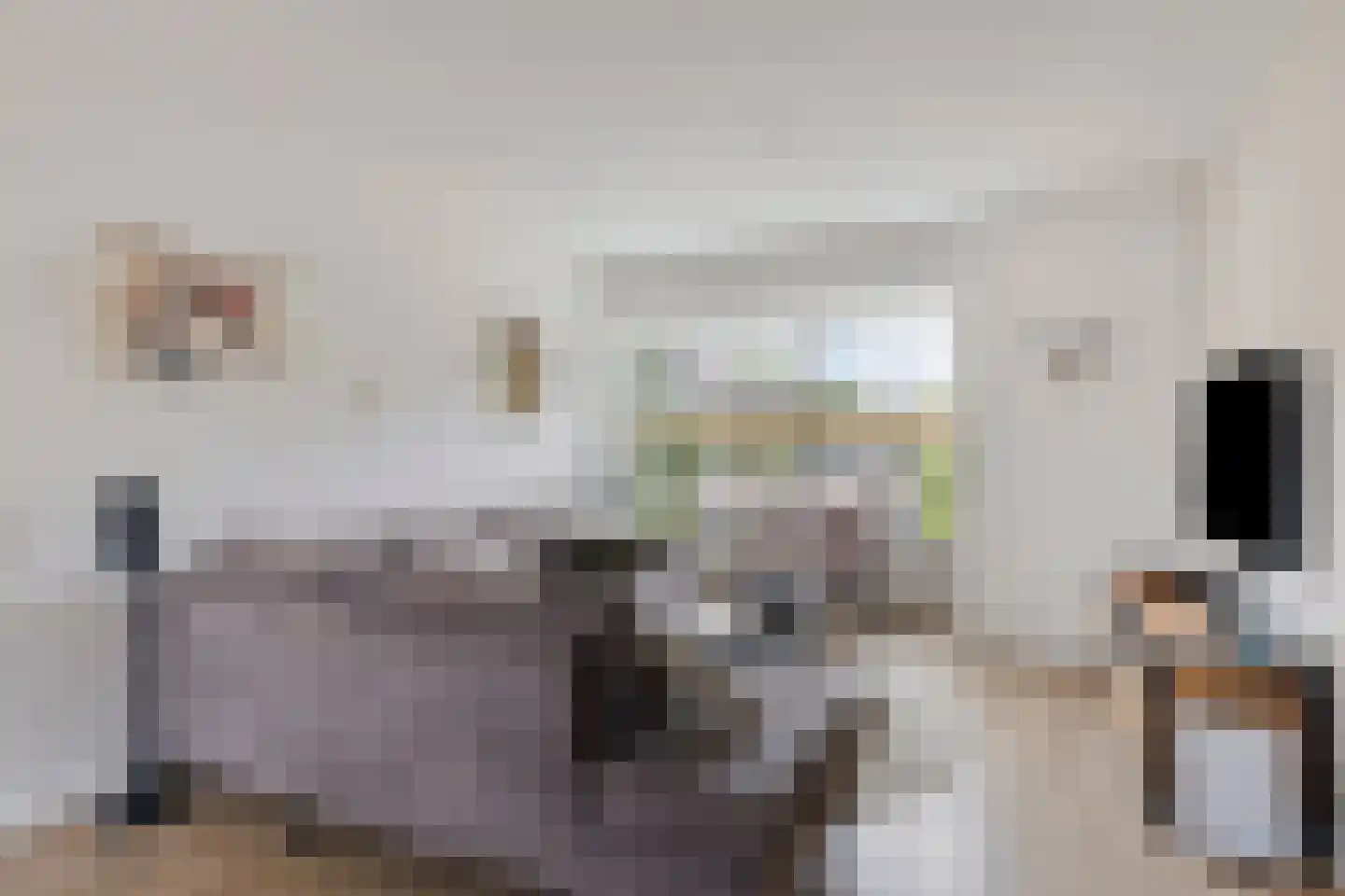 Wolter Visscherstraat 12 Westervoort thumbnail 10