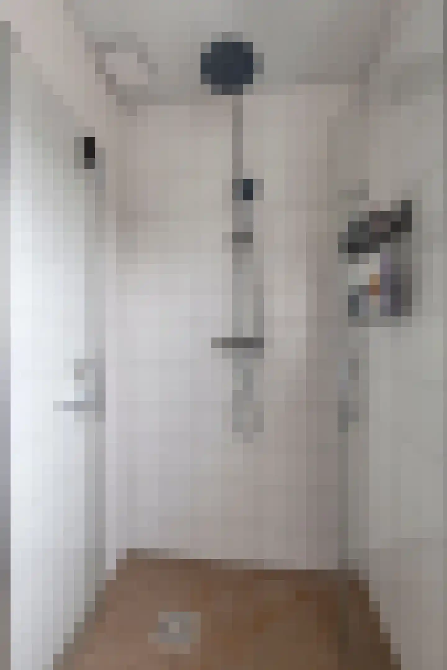 Wolter Visscherstraat 12 Westervoort thumbnail 25