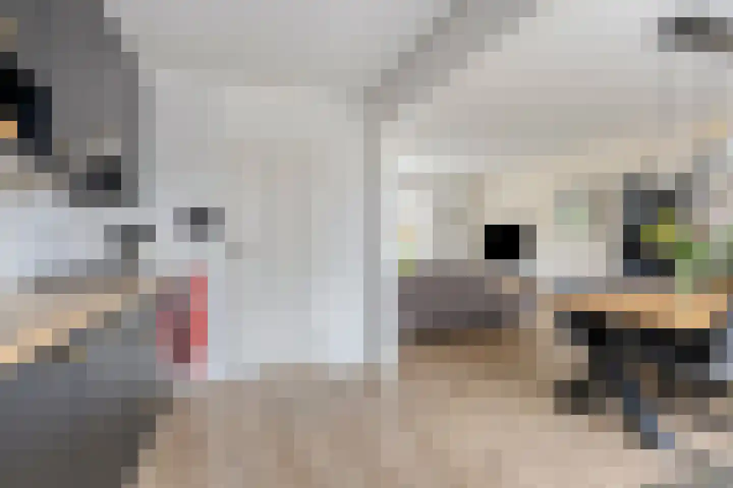Wolter Visscherstraat 12 Westervoort thumbnail 9