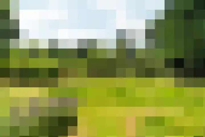 Wolterbeekweg 15 Oosterbeek thumbnail 48