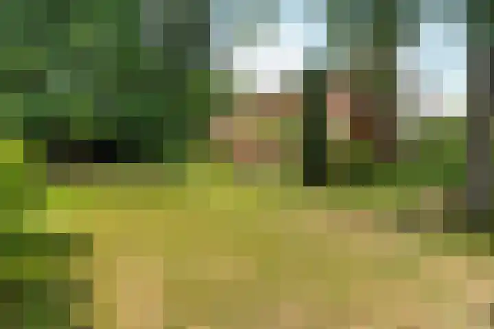 Wolterbeekweg 15 Oosterbeek thumbnail 50