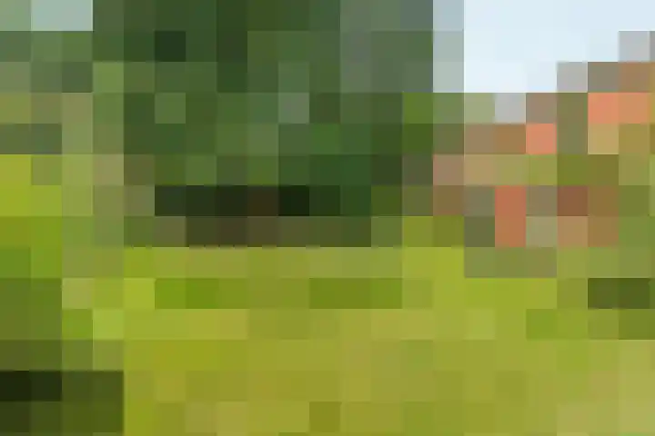 Wolterbeekweg 15 Oosterbeek thumbnail 51