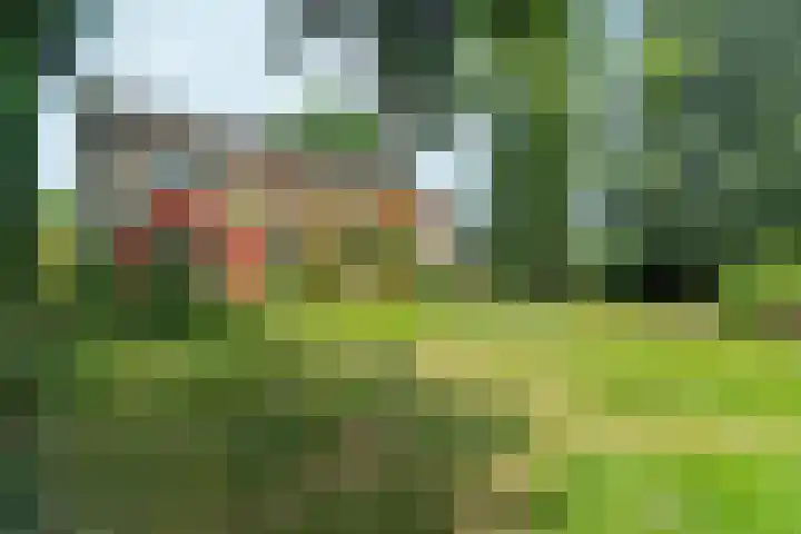 Wolterbeekweg 15 Oosterbeek thumbnail 52
