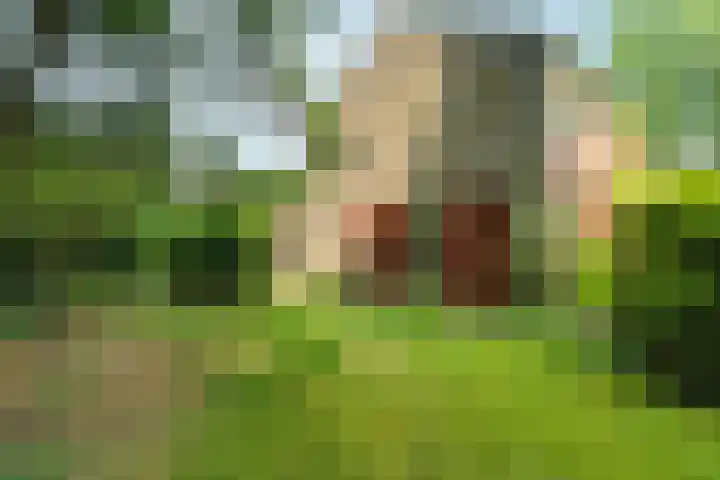 Wolterbeekweg 15 Oosterbeek thumbnail 53