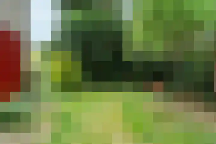 Wolterbeekweg 15 Oosterbeek thumbnail 55
